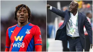 Former Super Eagles coach compares EPL star to Okocha, wants him to play for Nigeria