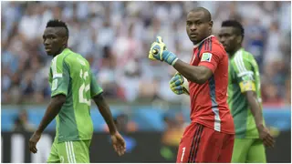 Vincent Enyeama Expresses Desire to Be Part of Nigeria’s Coaching Setup After Jose Peseiro’s Exit