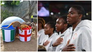 FIFA Women’s World Cup: Mystic Meerkats Predict Nigeria vs England Round of 16 Clash