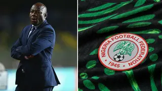Nigeria Football Federation shifts attention to world-class coach for Super Eagles, report