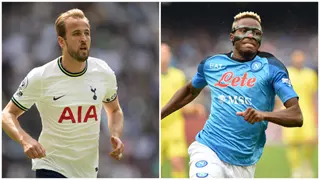 Ferdinand Suggests Who Man United Should Sign Between Osimhen and Kane, Gives Reasons