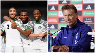 Herve Renard: Why Nigeria cannot hire ex-Ivory Coast manager as coach