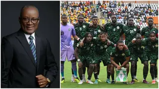 Sports Minister Urges NFF To Sign Top-Class Foreign Coach for Super Eagles