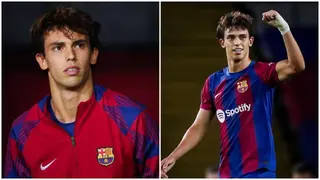 Joao Felix: How Paris Saint Germain Failed to Hijack Move for Barcelona Star