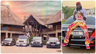 Former Arsenal, Man City, and Spurs superstar shows off exotic cars garage valued around N572m