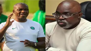 NFF president Pinnick makes big statement on Eguavoen's performance at 2021 AFCON