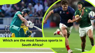 Which are the most famous sports in South Africa? A detailed list