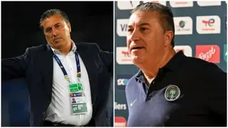 Algeria Set to Offer Jose Peseiro $280,000 Monthly to Dump Super Eagles