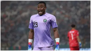AFCON 2023 Final: Nwabali Misses Nigeria Training as Super Eagles Prepare for Ivory Coast Showdown