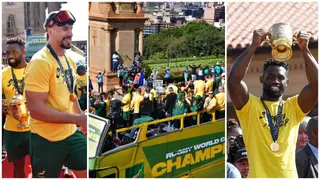 South African Rugby Fans Hit the Streets to Celebrate Springboks After World Cup Triumph, Video