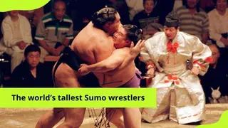 Who are the tallest sumo wrestlers in the world? A detailed list