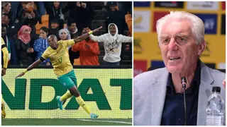 Hugo Broos: Bafana Bafana Coach Expresses Concerns Over Zakhele Lepasa’s Club Situation