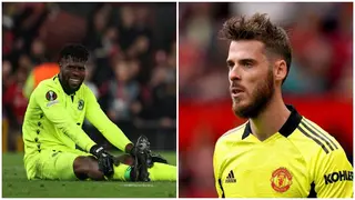 Francis Uzoho: Nigerian Coach Tells Man Utd To Sign Super Eagles Goalie As Replacement for de Gea