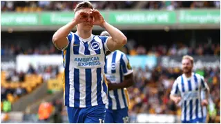 Brighton Forward Ready to Follow Graham Potter to Stamford Bridge