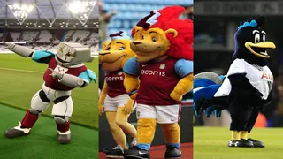 Premier League mascots: Who is the best mascot in the EPL?