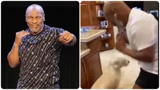 Mike Tyson Shows Boxing Skills with his dog Years After Retirement