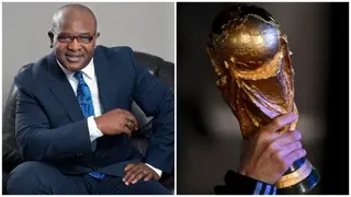 Ex-super Eagles Goalkeeper Discloses Number of Years It Would Take for Nigeria to Host World Cup