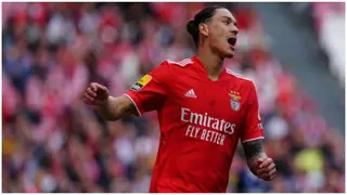 Liverpool Ready to Smash Club Transfer Record for £85M Rated Benfica Striker Darwin Nunez As Talks Begin