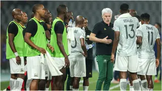 Analysing Hugo Broos’ Record As South Africa Coach After Epic Draw Against Algeria