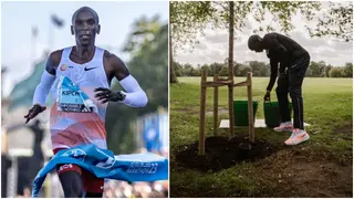 COP28: Eliud Kipchoge Joins Climate Change Talk With Rallying Call to Plant Trees