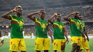 Fascinating details about Mali's national football team