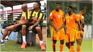 AFCON 2023: Siblings Who Have Played Together at the Tournament From Ayew to Toure Brothers