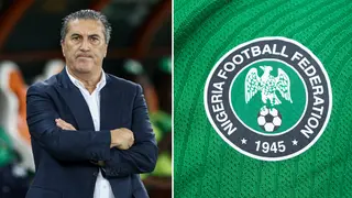 Jose Peseiro: NFF names two candidates to replace Portuguese coach, report