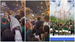 South Africans Erupt in Celebration As Springboks Triumph in Rugby World Cup Final, Video