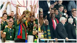 Rugby World Cup: President Cyril Ramaphosa Releases Statement As Springboks Defeat New Zealand