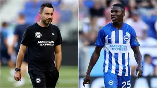 De Zerbi's comment gives telling update on Moises Caicedo's future