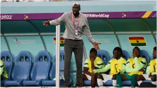 “Otto Was Not Ready”: Former Ghana Star Claims Otto Addo Was Forced to Take Black Stars Job