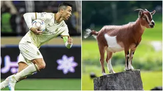 Social media explodes with GOAT praise as Ronaldo puts Saudi club to the sword with first half hattrick