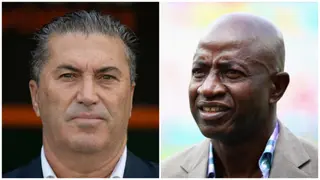 AFCON 2023: Segun Odegbami Blames Peseiro After Nigeria’s Loss to Ivory Coast, Sends Message to NFF