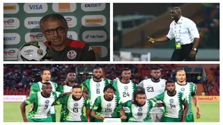 Tunisia coach brags after winning against Nigeria, reveals tactics on how they stopped the Super Eagles