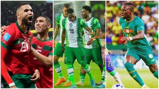 Ranked! Top 6 countries to win the 2023 AFCON, Nigeria misses out