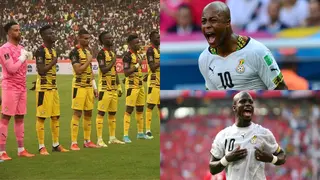 Andre Ayew, Stephen Appiah congratulate Black Stars on World Cup qualification