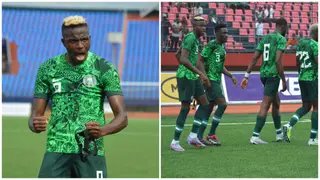 Video of Osimhen, Chukwueze's anxious moment before Iheanacho's goal against Sierra Leone goes viral