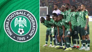 Super Eagles Players Express Worries Over NFF’s Delay in Appointing New Manager: Report