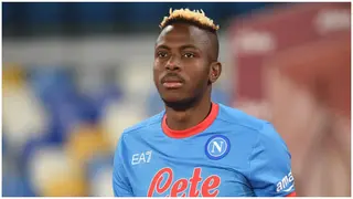 Victor Osimhen: Former Chelsea star tells the Blues to sign striker