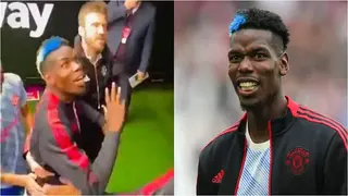 Man United Star Pogba Dragged Into Tunnel By Coach After 'Attack' From West Ham Fan