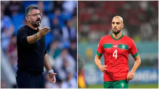 AC Milan legend applauds Moroccan midfielder's World Cup heroics