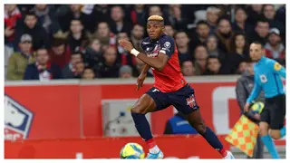 Victor Osimhen hits 18th goal in Lille's 2-1 loss with Marseille