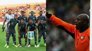 Former Super Eagles goalie identifies weakness Ghana could capitalize on ahead of World Cup clash