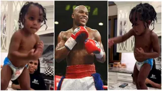 Floyd Mayweather’s 2-Year-Old Grandson Shows Off Impressive Boxing Skills, Video Goes Viral