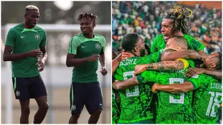 Super Eagles Injury Update: Osimhen, Chukwueze Join List of Injured Players