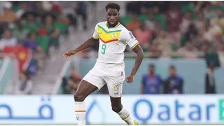 Boulaye Dia: Senegal Handed Huge Boost with Injured Salernitana Forward Before AFCON