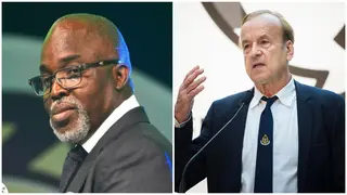 Ousted Super Eagles coach Gernot Rohr breaks silence over former NFF President Amaju Pinnick