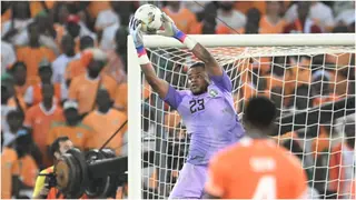 Stanley Nwabali: Belgian Club Reportedly Interested in Signing Nigeria Goalkeeper