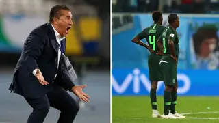 AFCON 2023: Super Eagles Suffer Another Injury Blow As Midfielder Joins Iheanacho on Injured List