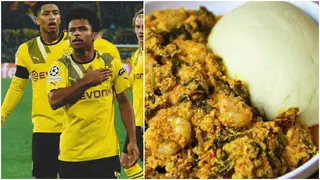 Dortmund starlet Karim Adeyemi explains how Nigerian delicacy makes him lightning quick